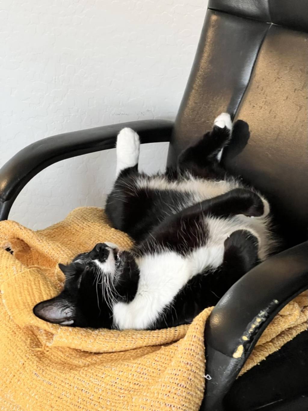 A silly cat lays on his back on a yellow blanket on a rolling chair.